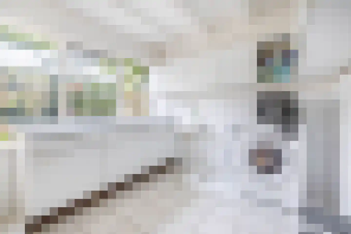 Onder de Bomen 15 Renkum thumbnail 24