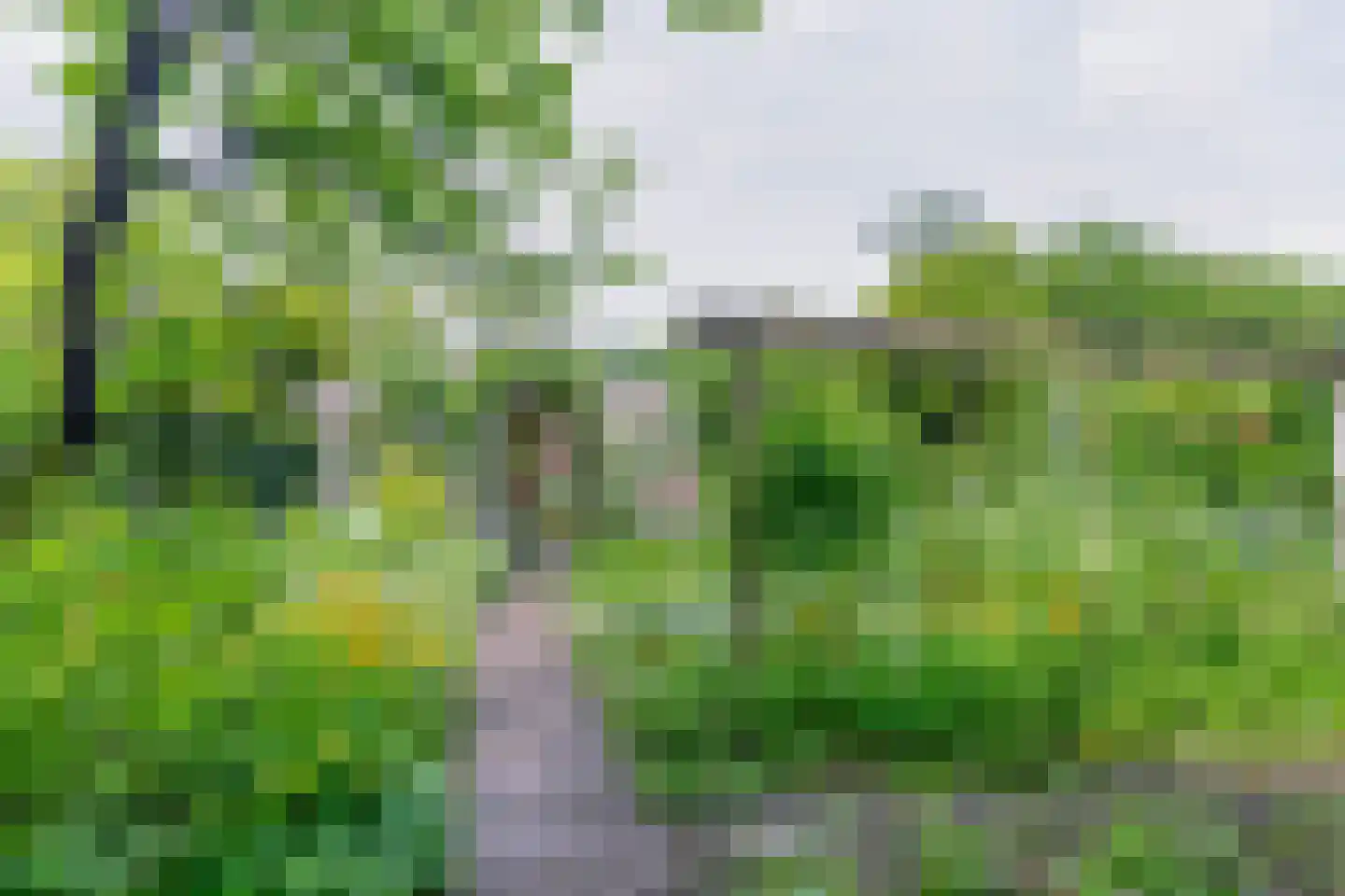 Onder de Bomen 15 Renkum thumbnail 5