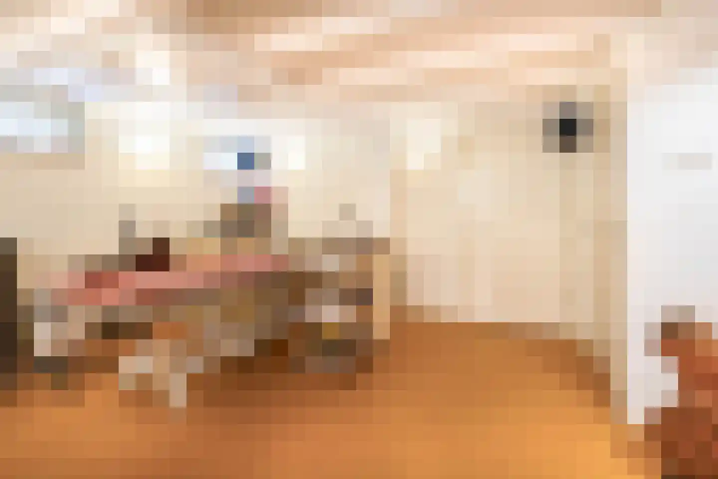 Onder de Bomen 15 Renkum thumbnail 52