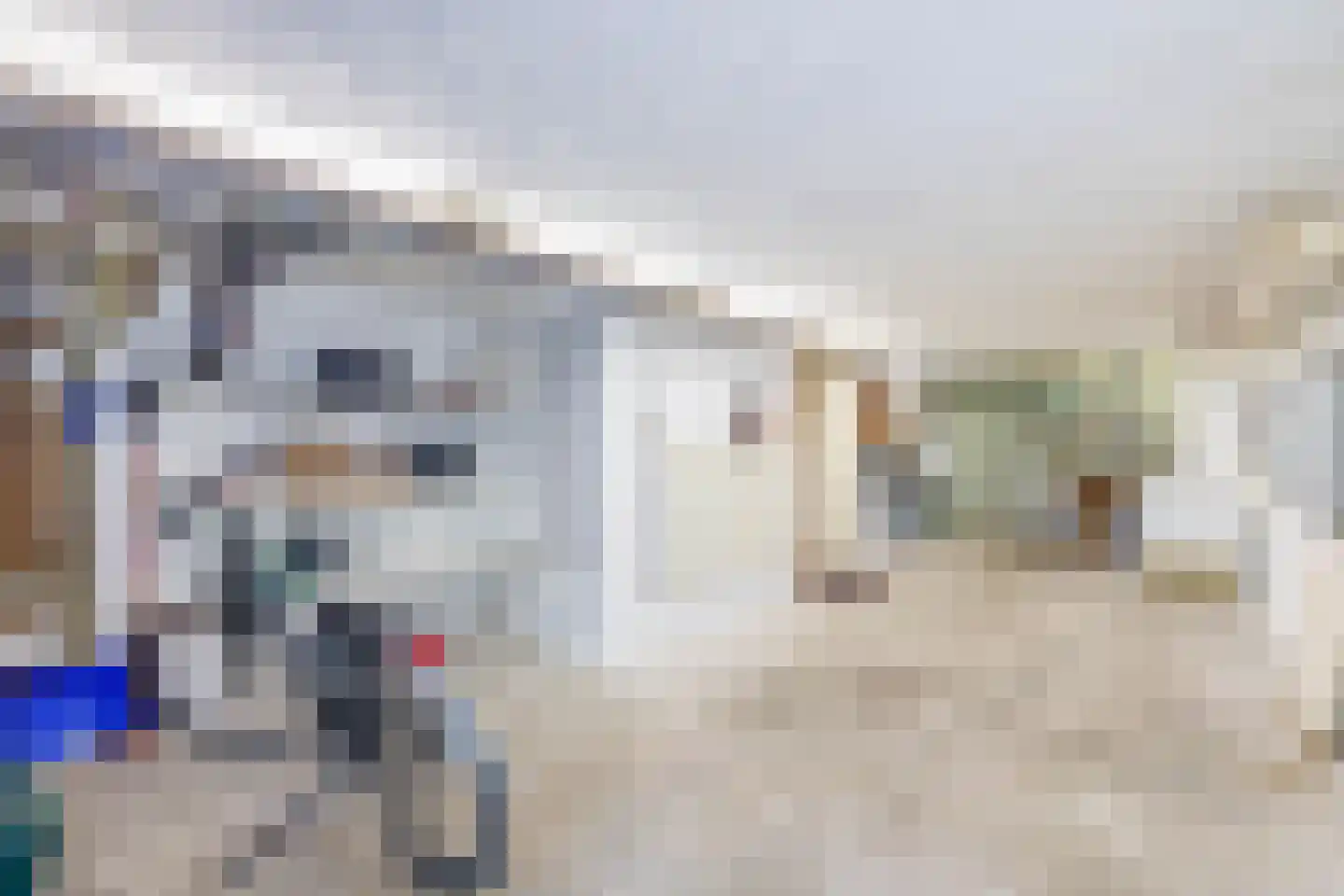 Onder de Bomen 15 Renkum thumbnail 53