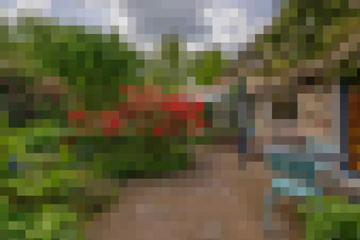 Onder de Bomen 15 Renkum thumbnail 58