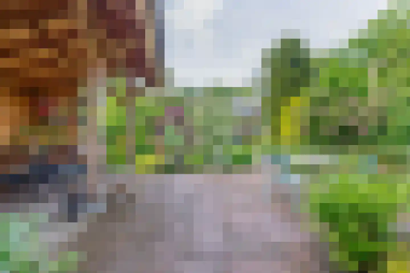 Onder de Bomen 15 Renkum thumbnail 66