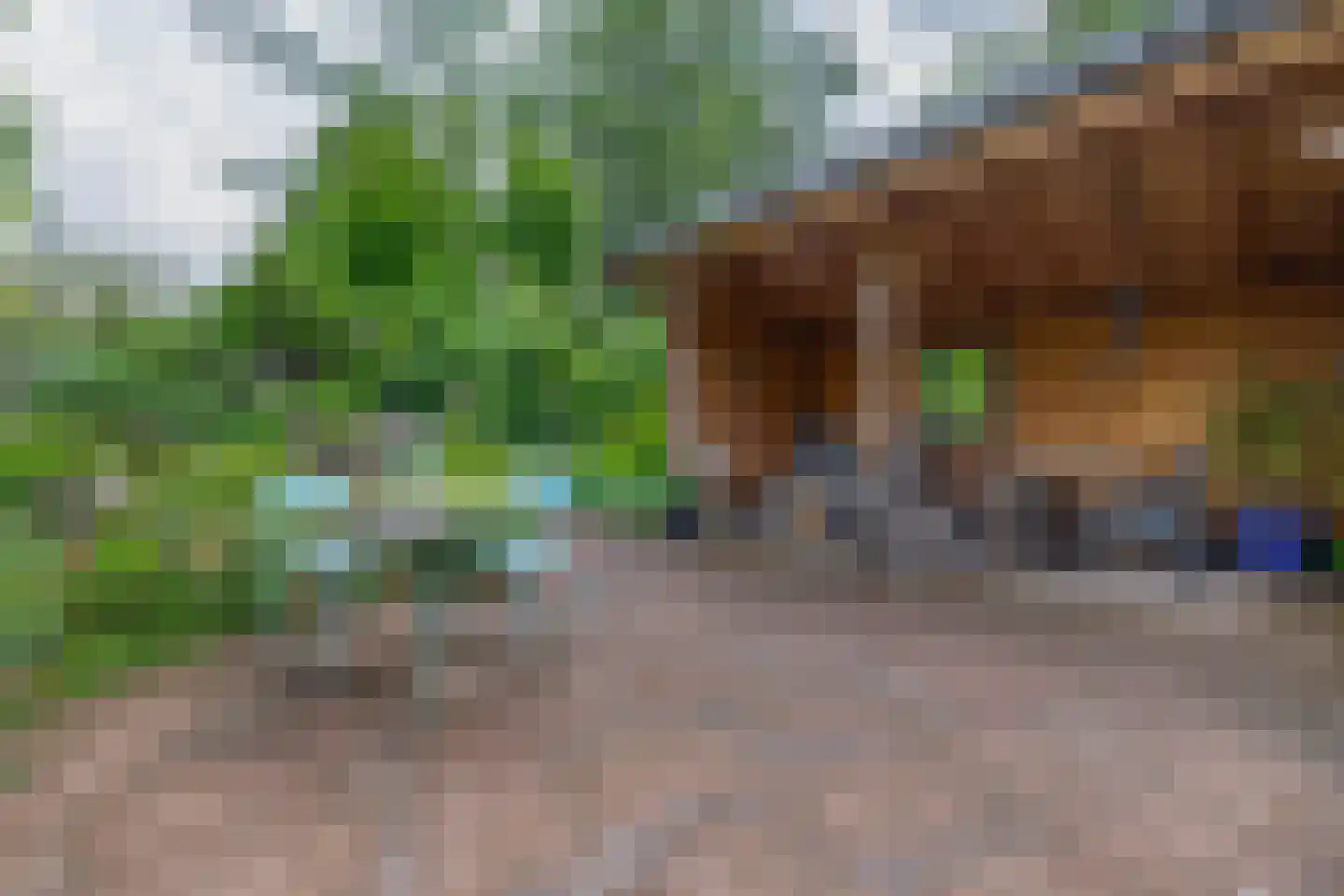 Onder de Bomen 15 Renkum thumbnail 68
