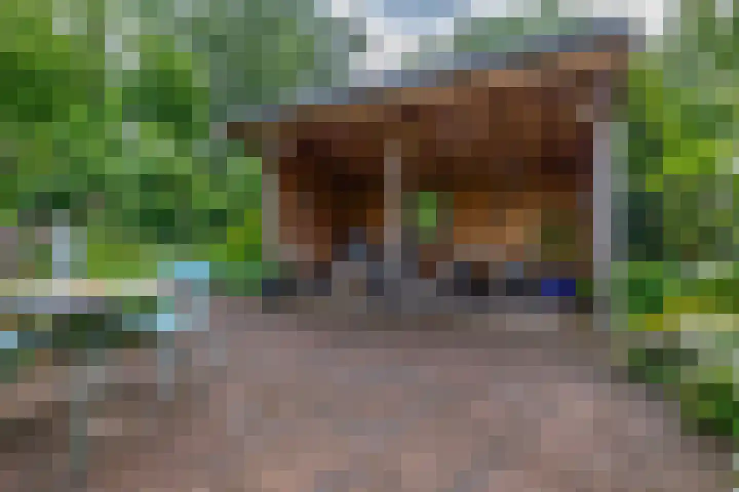 Onder de Bomen 15 Renkum thumbnail 69