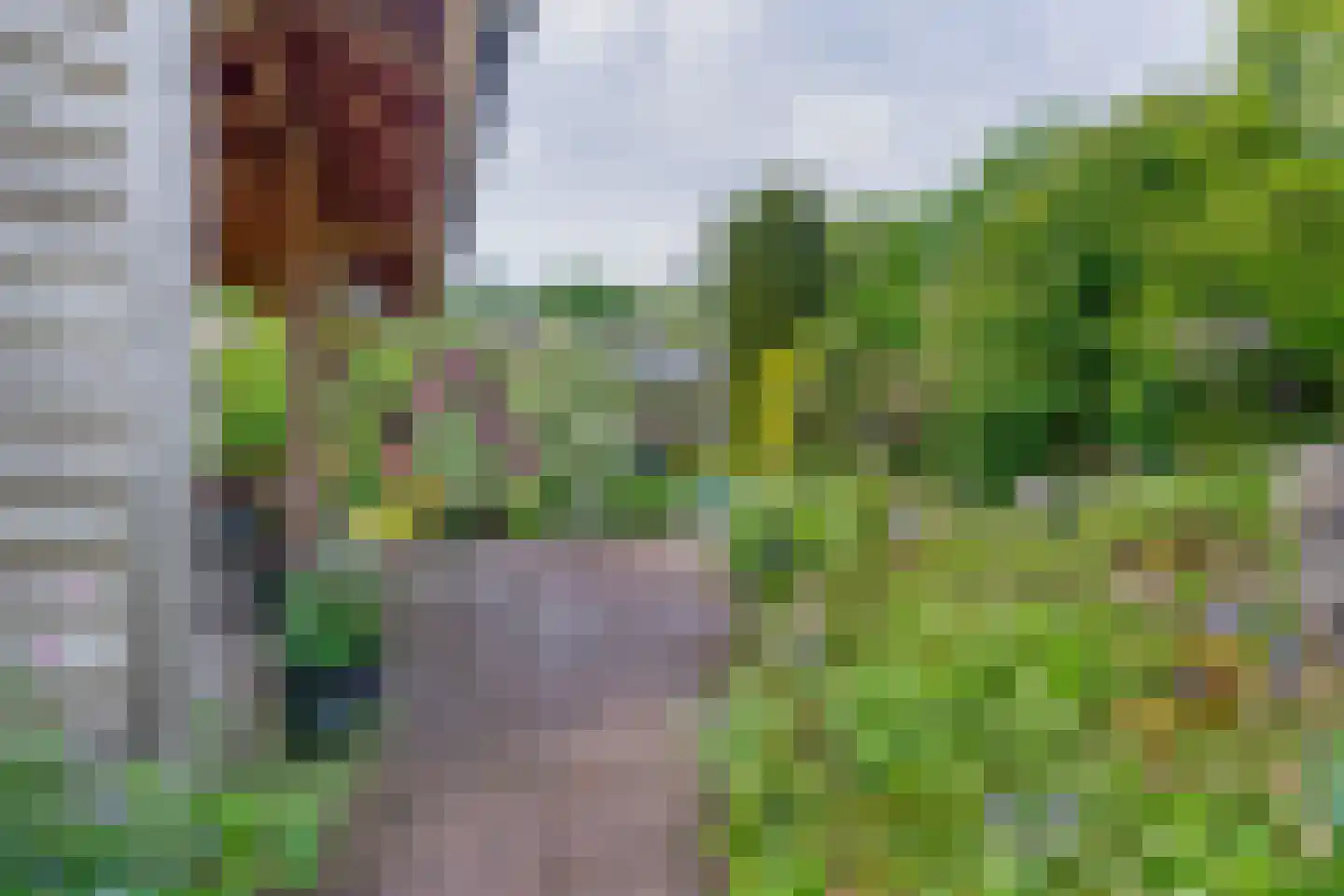 Onder de Bomen 15 Renkum thumbnail 72