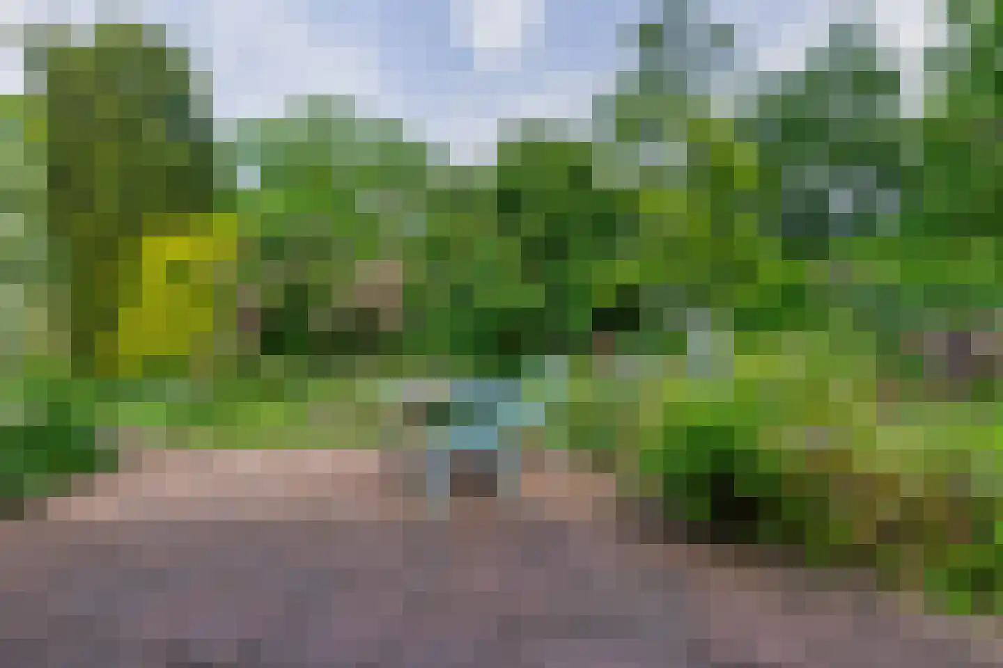 Onder de Bomen 15 Renkum thumbnail 73
