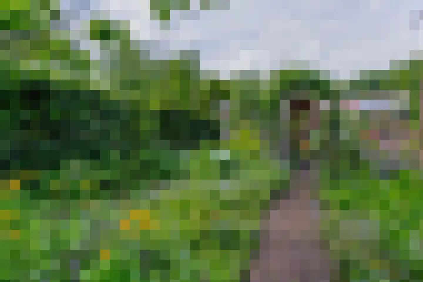 Onder de Bomen 15 Renkum thumbnail 74