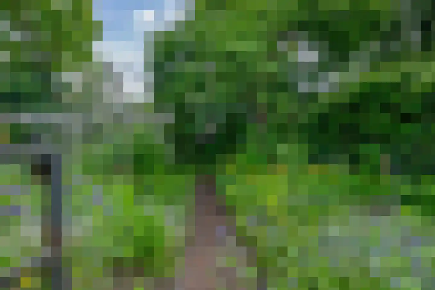 Onder de Bomen 15 Renkum thumbnail 76
