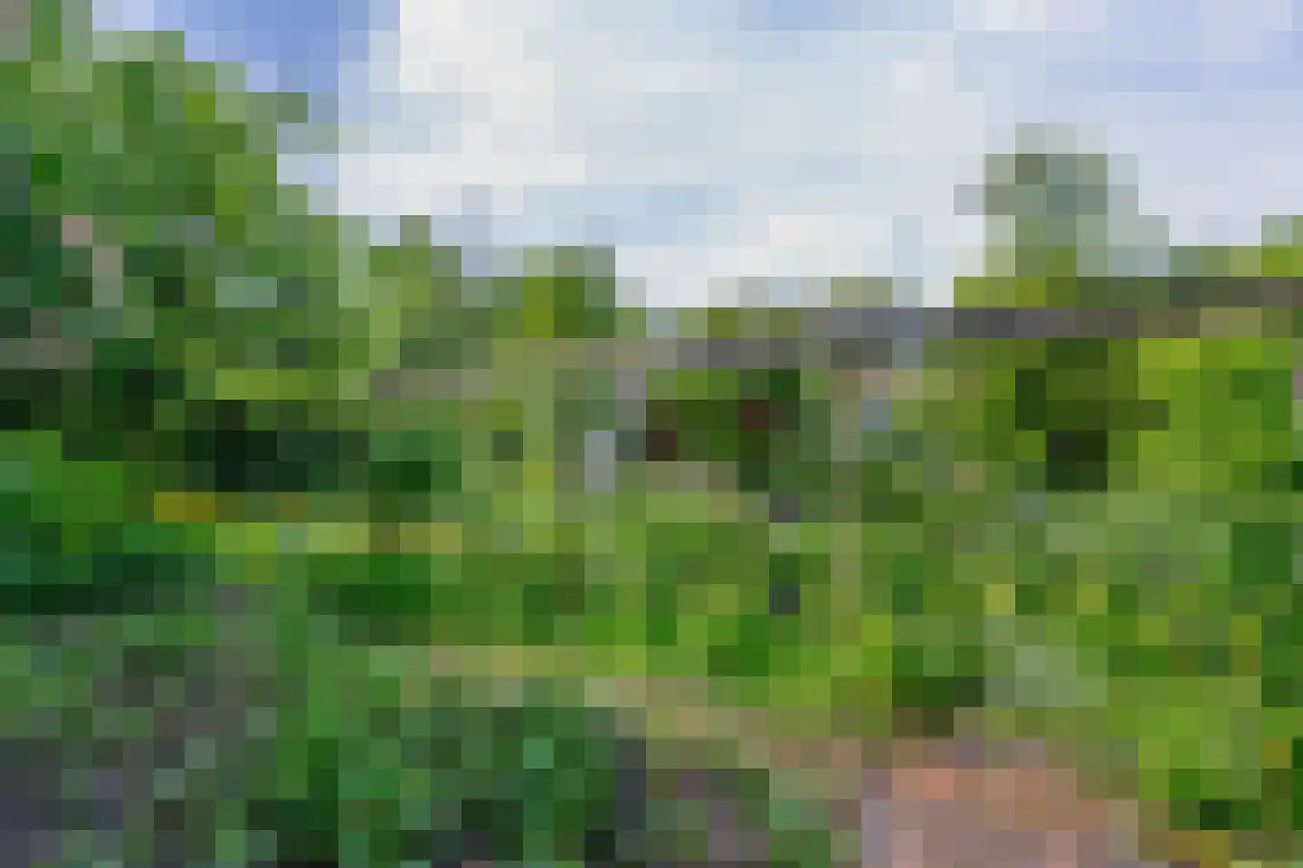 Onder de Bomen 15 Renkum thumbnail 77