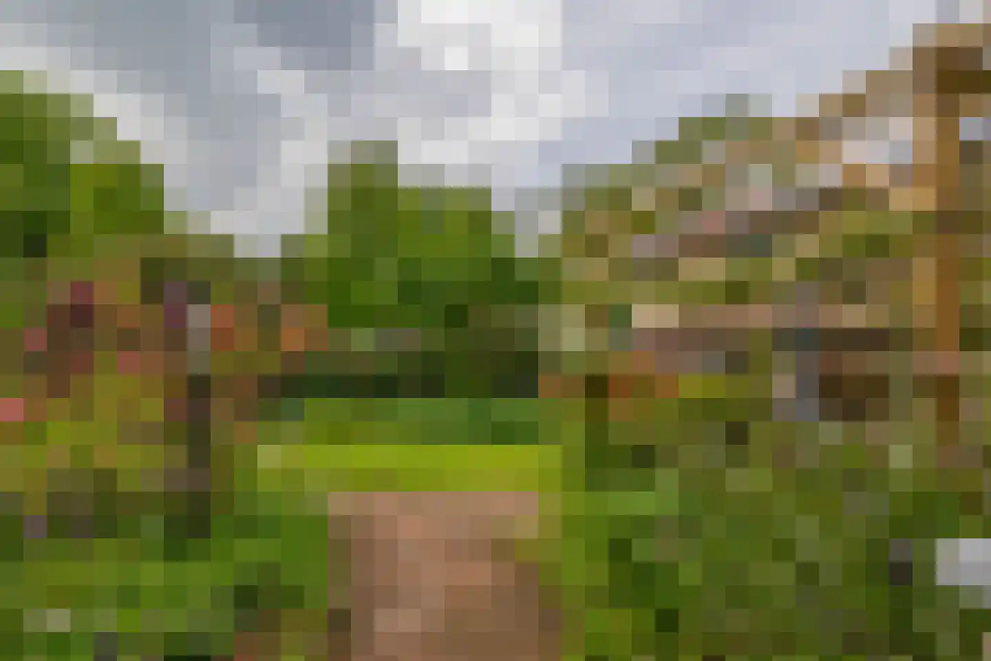 Onder de Bomen 15 Renkum thumbnail 78
