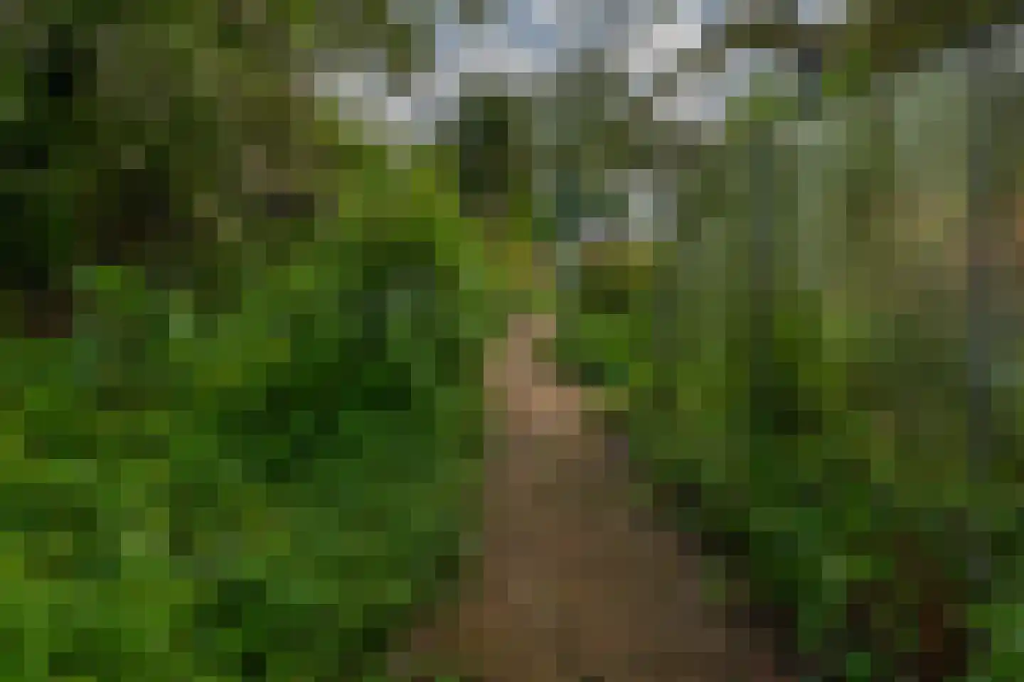 Onder de Bomen 15 Renkum thumbnail 79