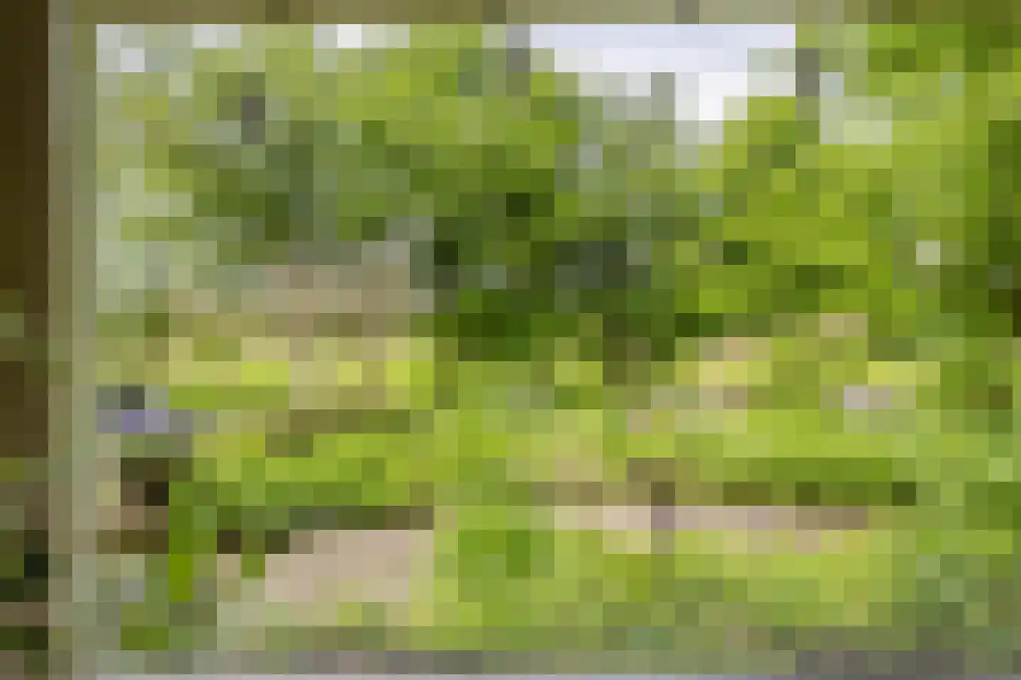 Onder de Bomen 15 Renkum thumbnail 8