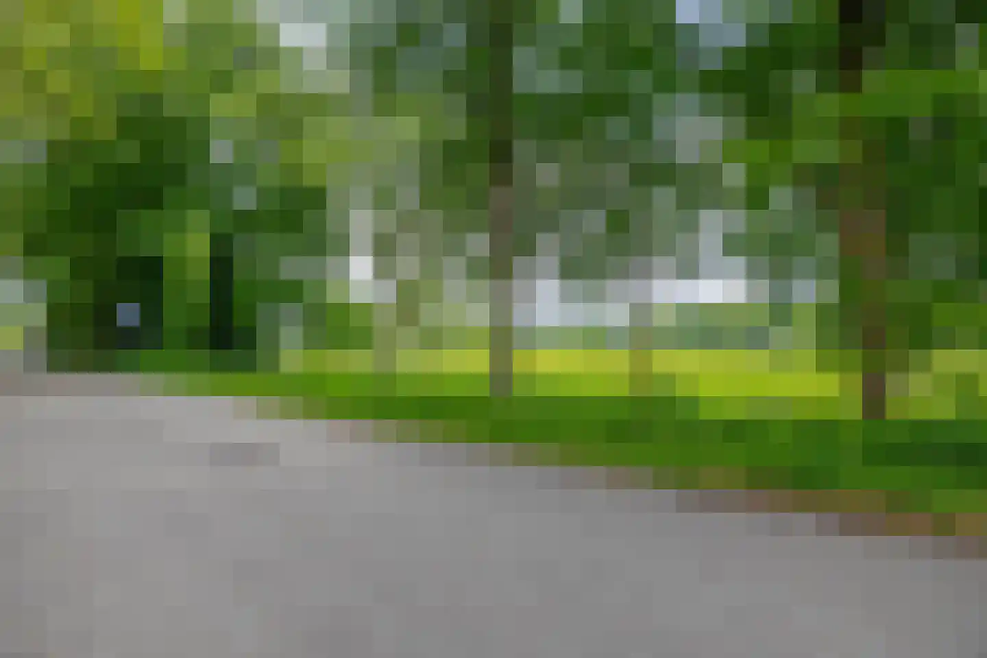 Onder de Bomen 15 Renkum thumbnail 81