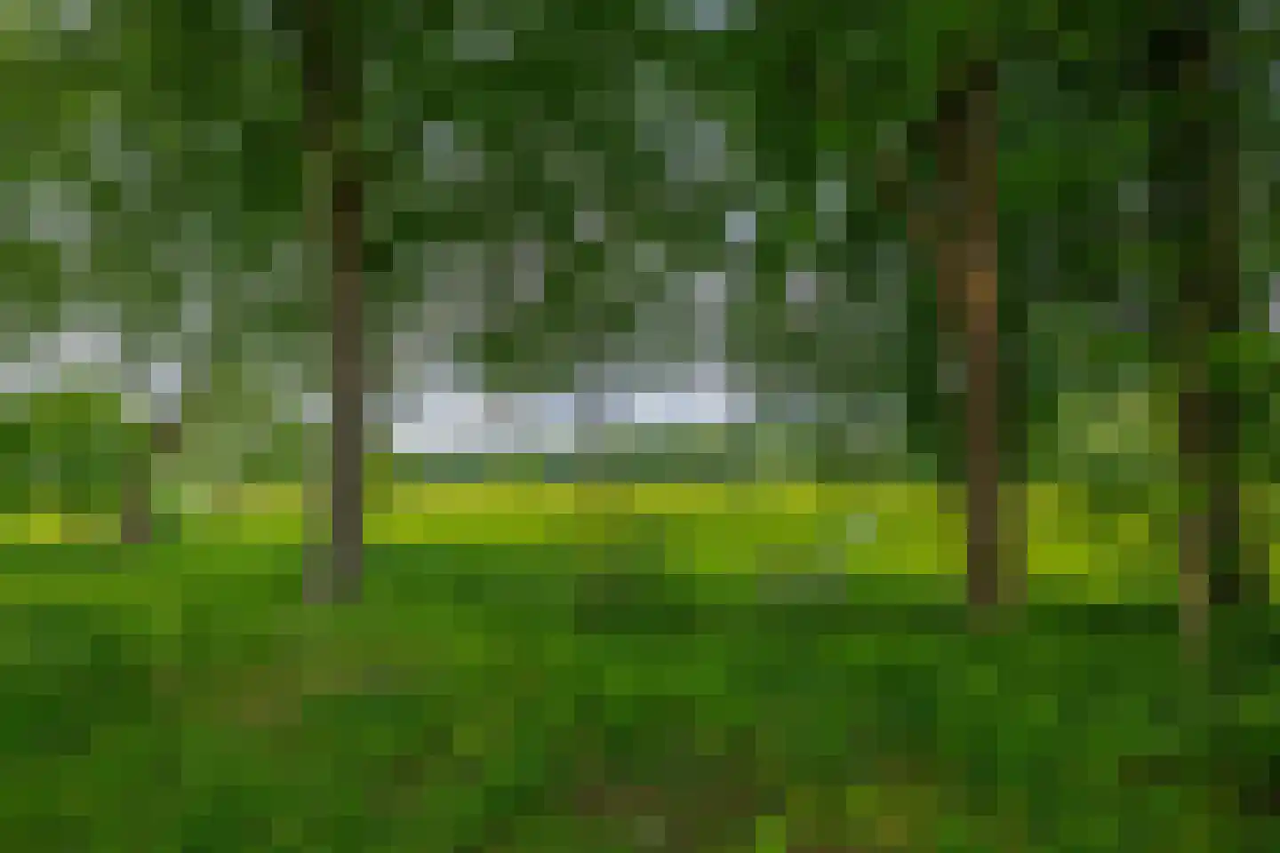 Onder de Bomen 15 Renkum thumbnail 82
