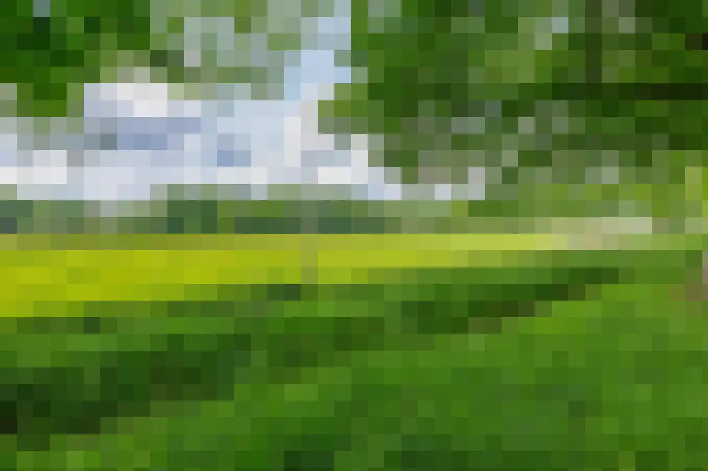Onder de Bomen 15 Renkum thumbnail 83