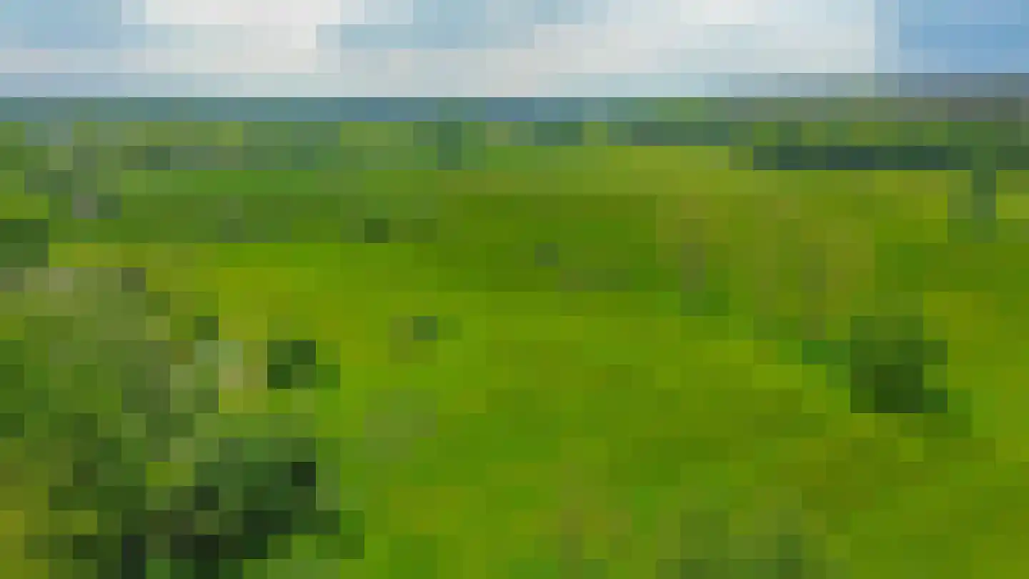 Onder de Bomen 15 Renkum thumbnail 84