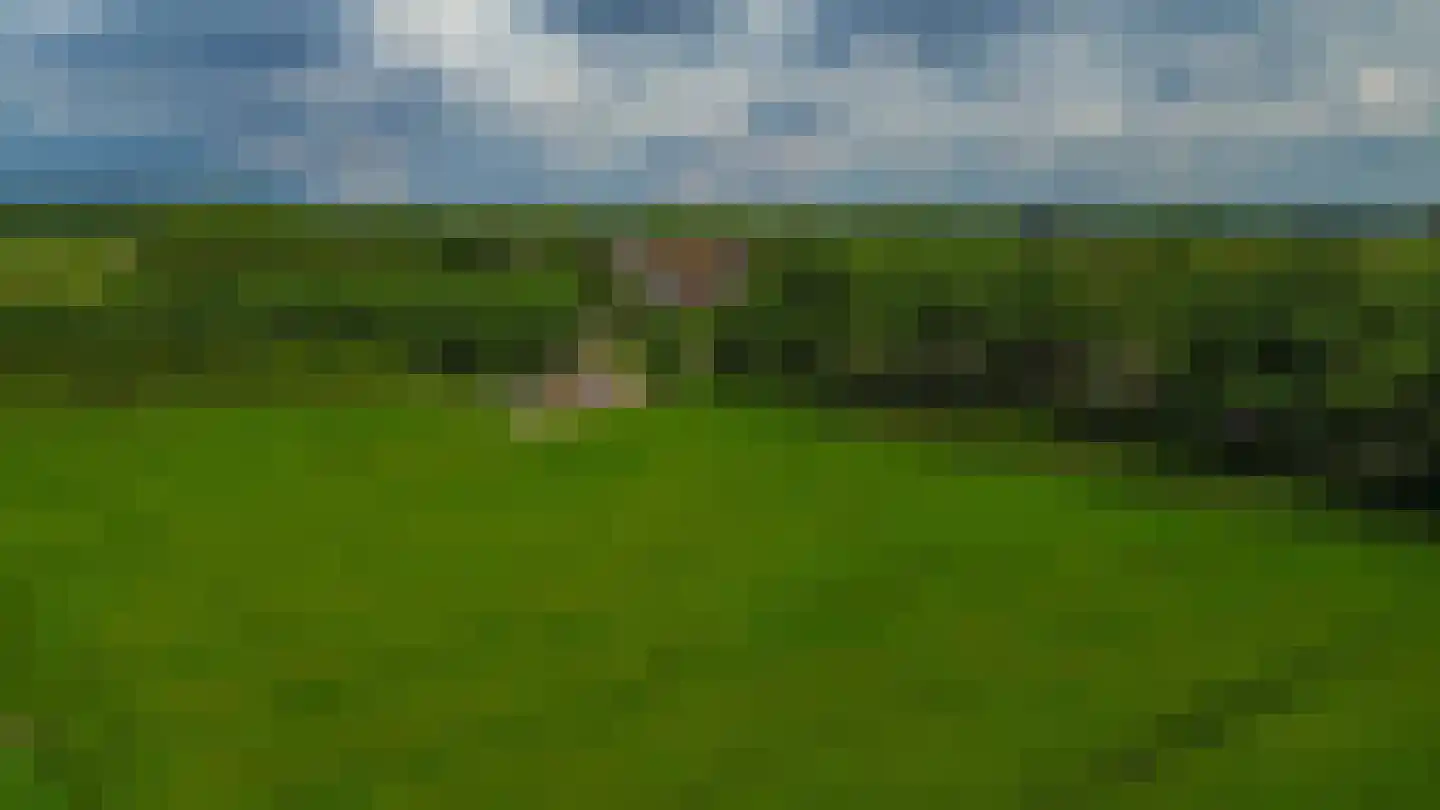 Onder de Bomen 15 Renkum thumbnail 85