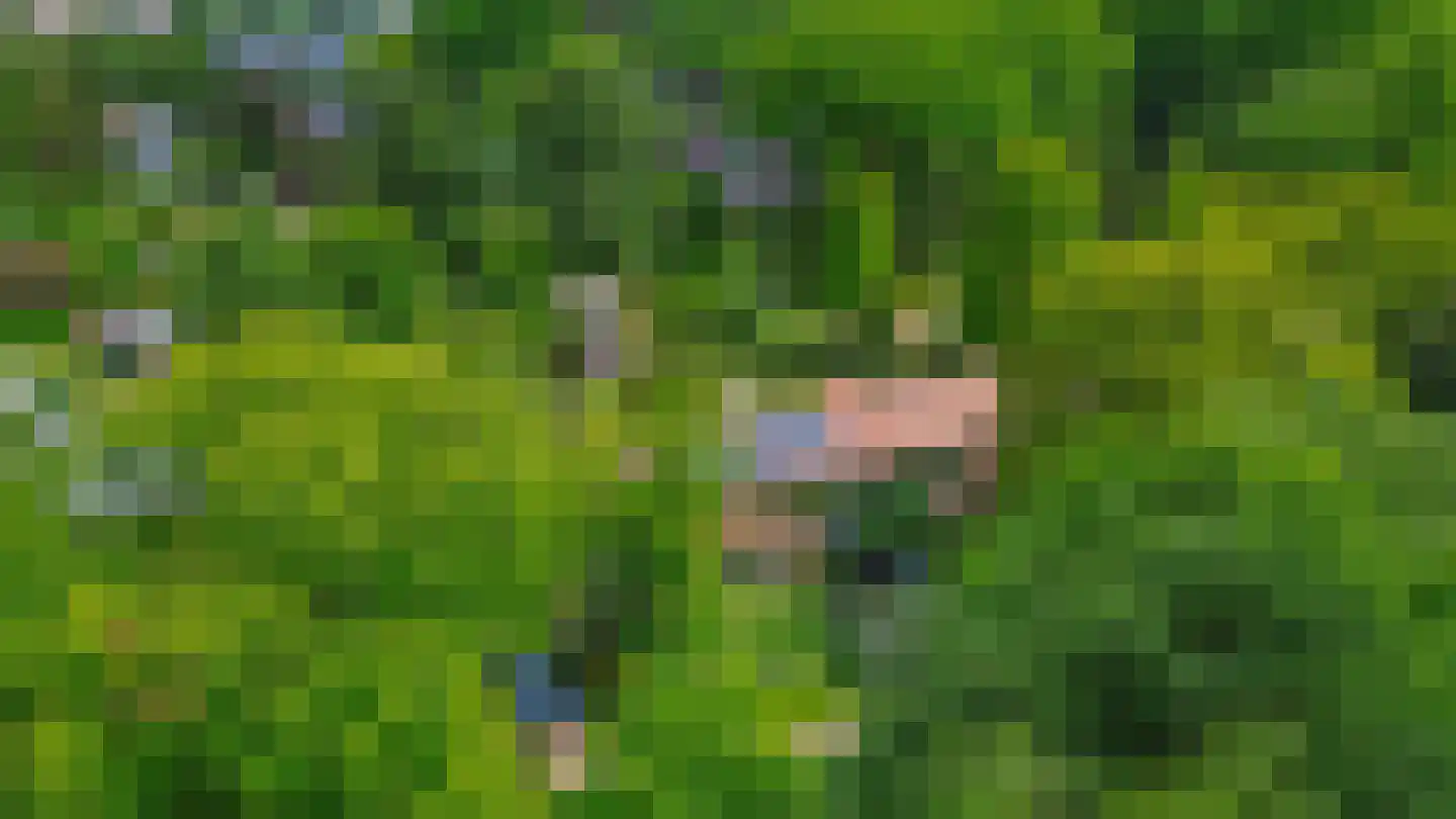 Onder de Bomen 15 Renkum thumbnail 86