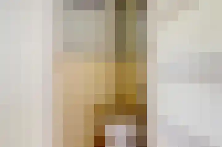 Onder de Boompjes 127 Gouda thumbnail 11