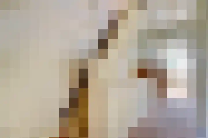 Onder de Boompjes 127 Gouda thumbnail 13