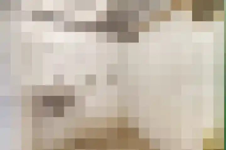Onder de Boompjes 127 Gouda thumbnail 16
