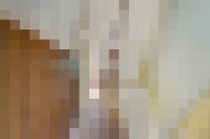 Onder de Boompjes 127 Gouda thumbnail 18