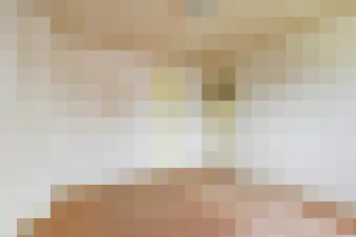 Onder de Boompjes 127 Gouda thumbnail 20