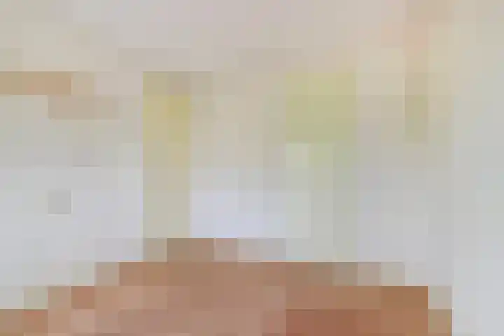 Onder de Boompjes 127 Gouda thumbnail 22