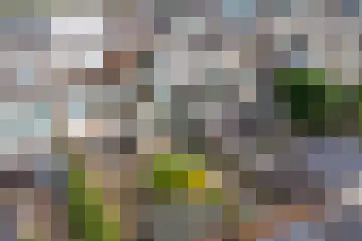 Onder de Boompjes 127 Gouda foto 3