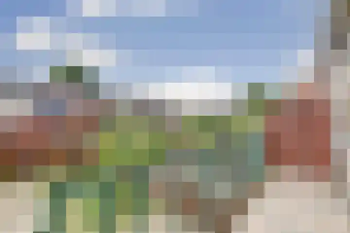 Onder de Boompjes 127 Gouda thumbnail 31