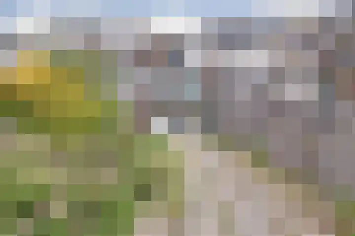 Onder de Boompjes 127 Gouda thumbnail 33