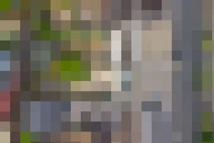 Onder de Boompjes 127 Gouda thumbnail 35