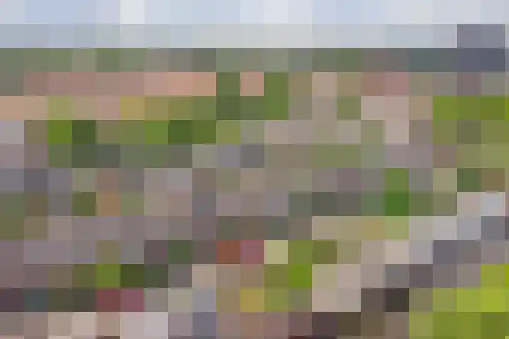 Onder de Boompjes 127 Gouda thumbnail 37
