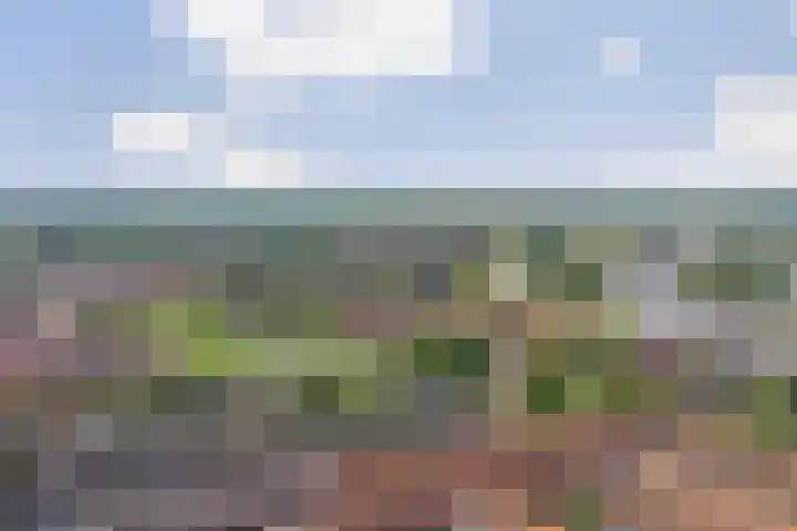 Onder de Boompjes 127 Gouda thumbnail 38