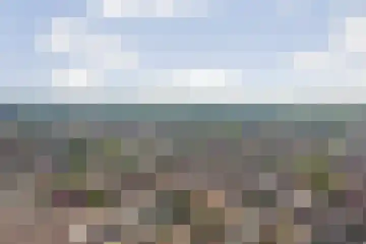 Onder de Boompjes 127 Gouda thumbnail 39