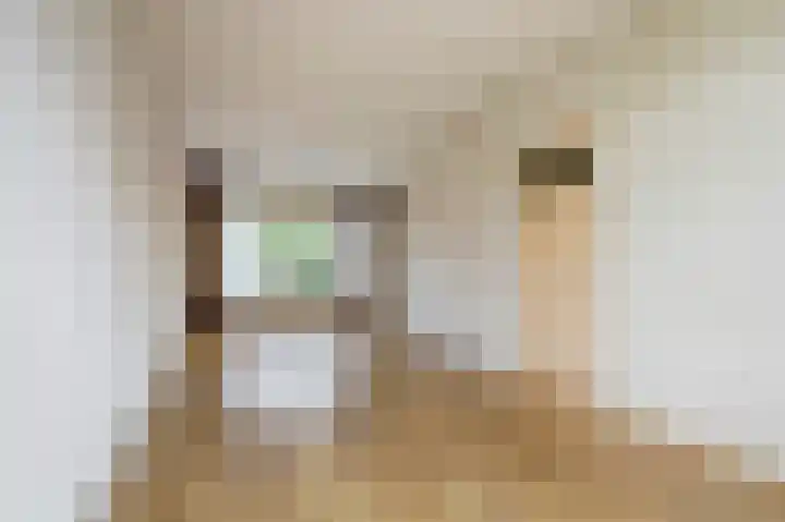 Onder de Boompjes 127 Gouda thumbnail 8