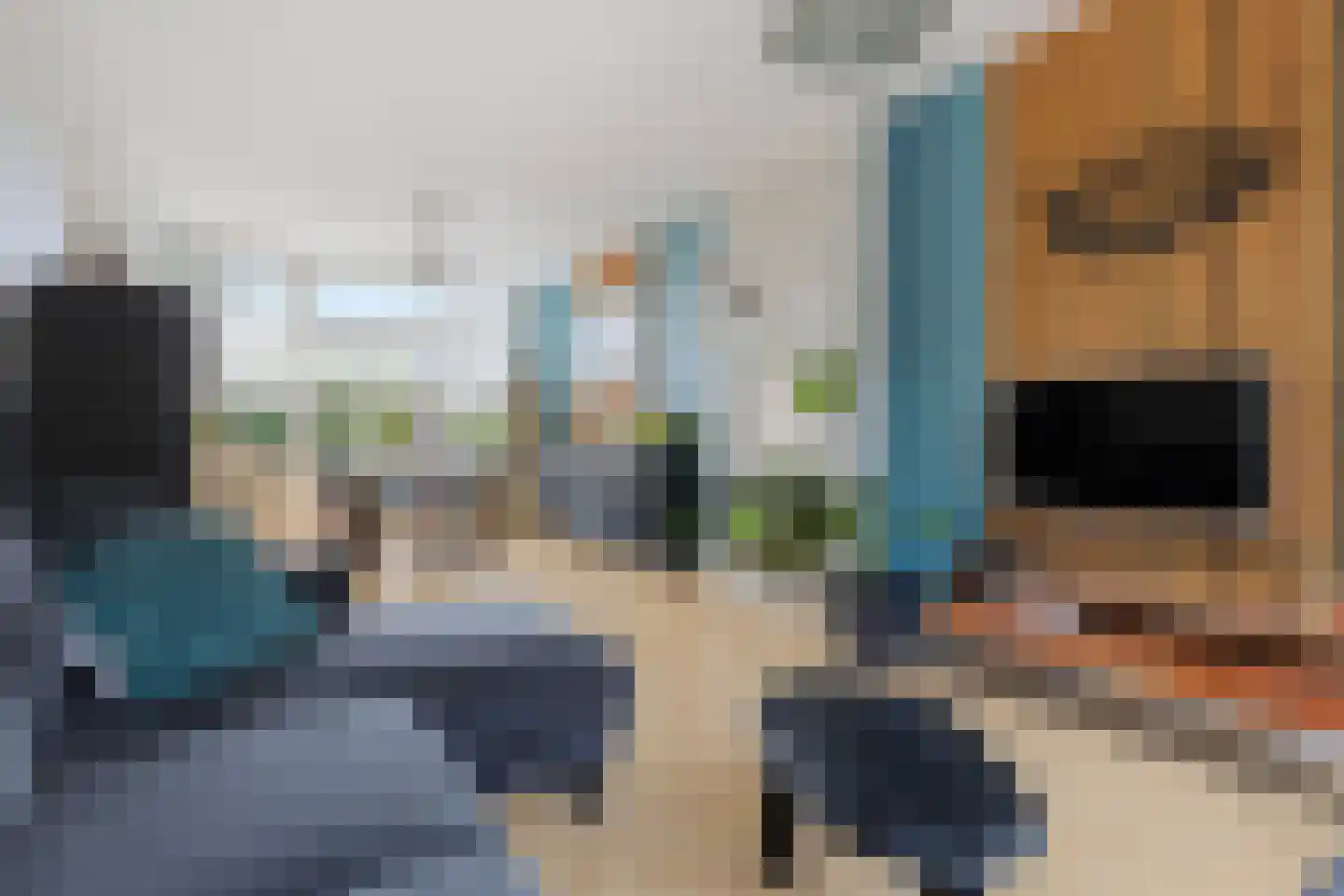 Onder de Boompjes 13 Gouda thumbnail 12
