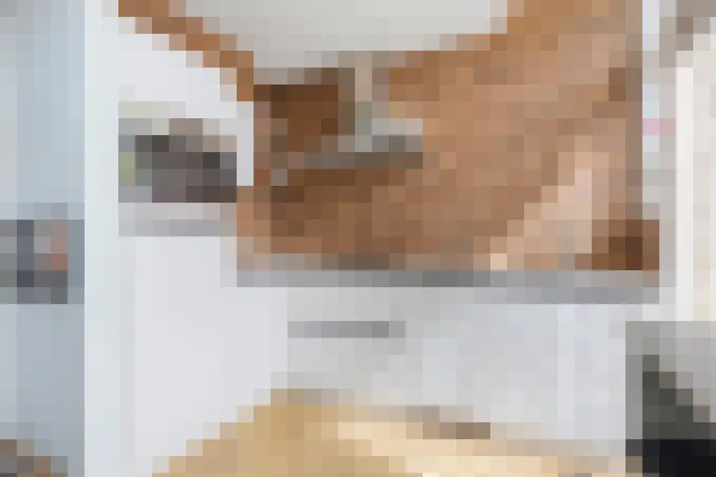 Onder de Boompjes 13 Gouda thumbnail 15