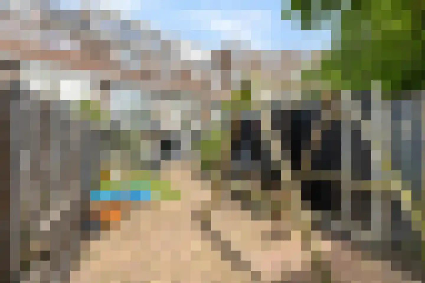 Onder de Boompjes 13 Gouda thumbnail 36