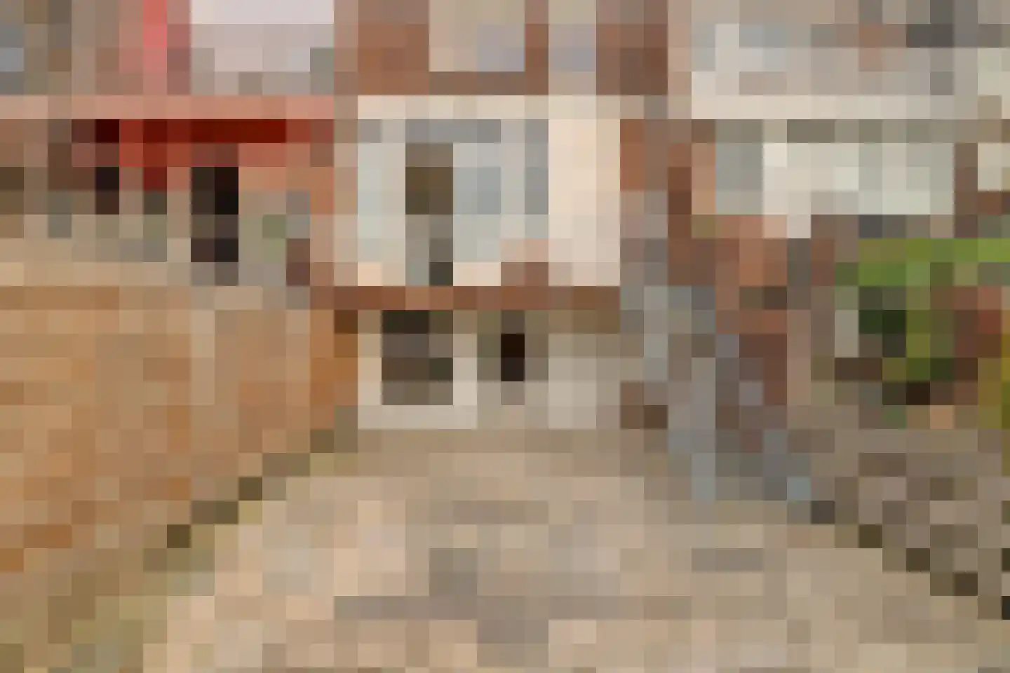 Onder de Boompjes 139 a Gouda thumbnail 27