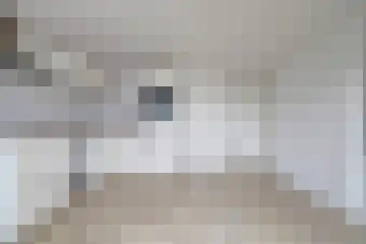 Onder de Boompjes 139 Gouda thumbnail 12