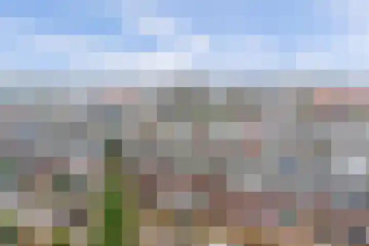 Onder de Boompjes 139 Gouda thumbnail 20
