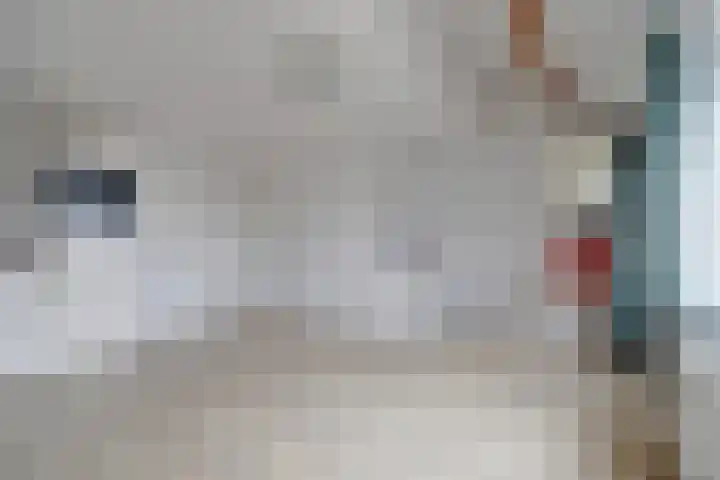 Onder de Boompjes 139 Gouda thumbnail 7