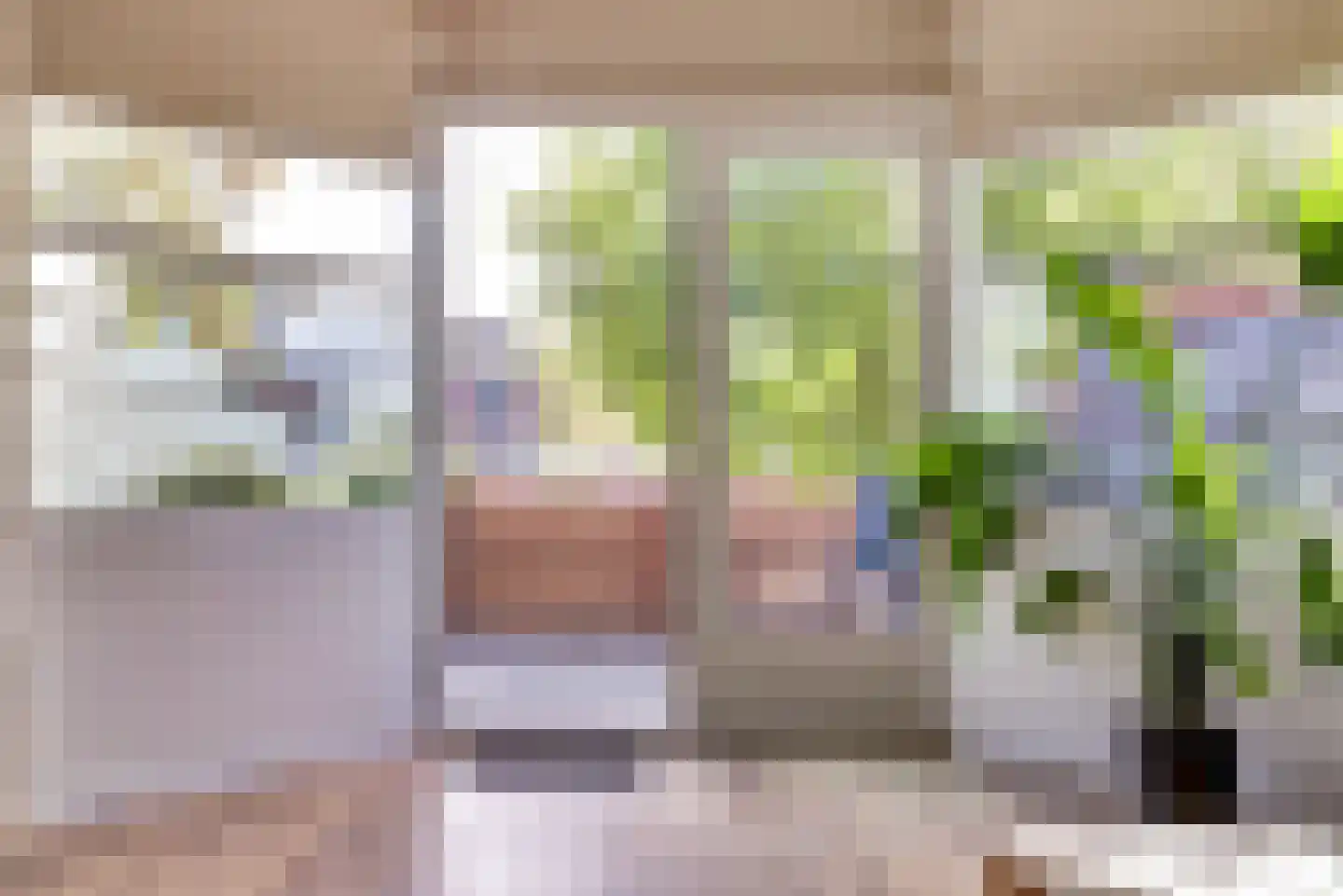 Onder de Boompjes 149 Gouda thumbnail 10