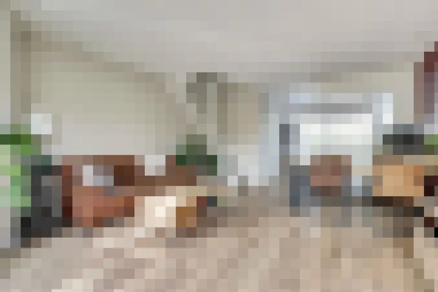 Onder de Boompjes 149 Gouda thumbnail 11