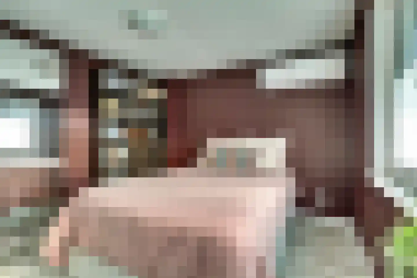 Onder de Boompjes 149 Gouda thumbnail 21