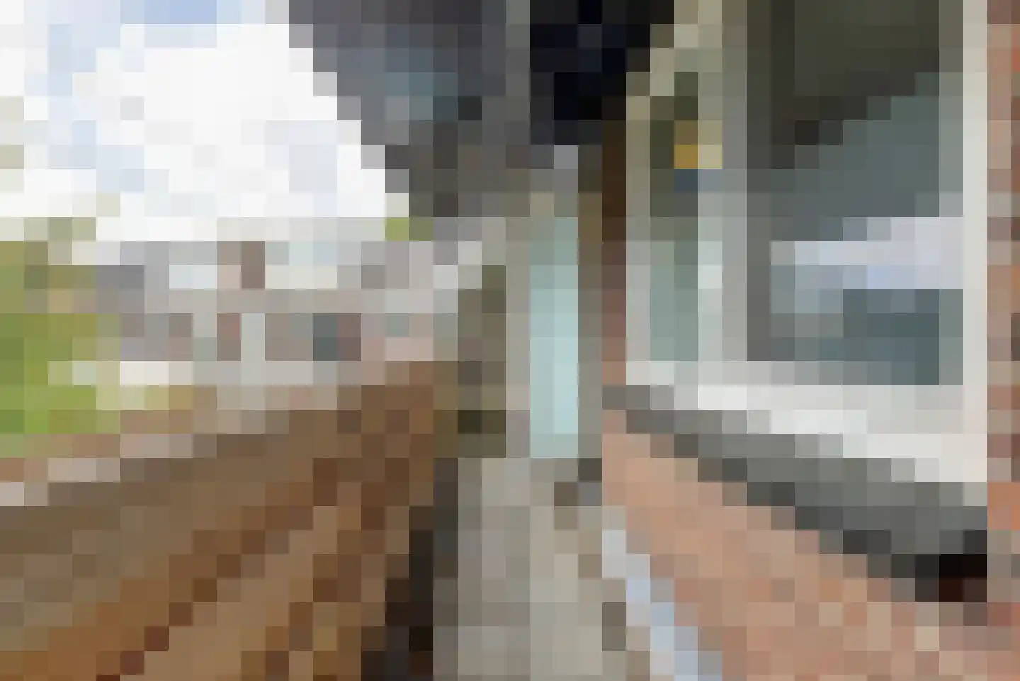 Onder de Boompjes 149 Gouda thumbnail 22