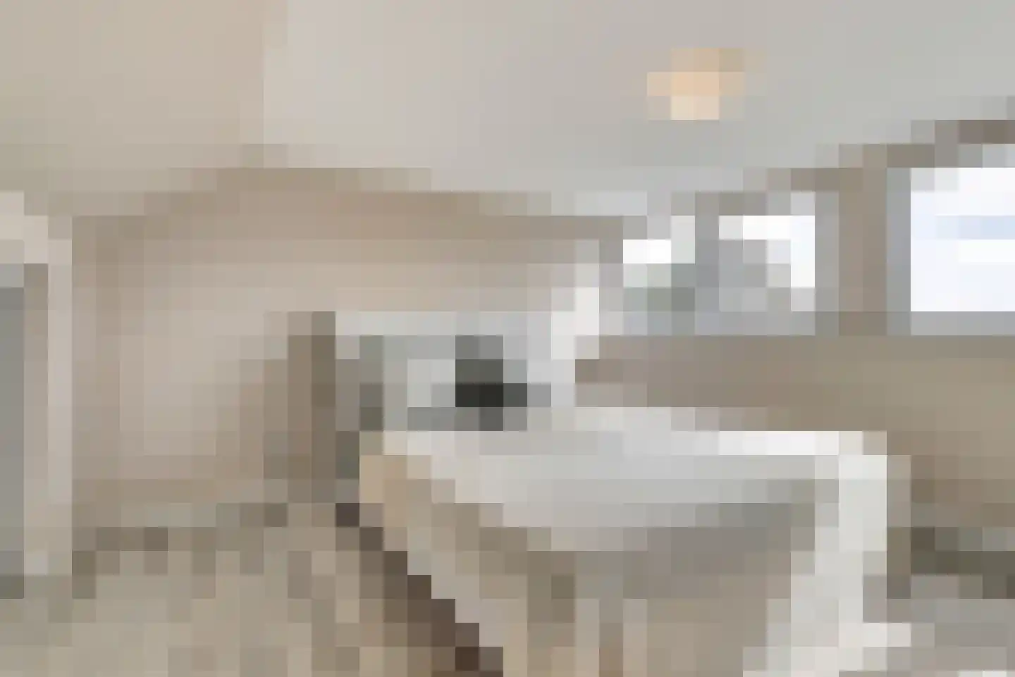 Onder de Boompjes 149 Gouda thumbnail 30