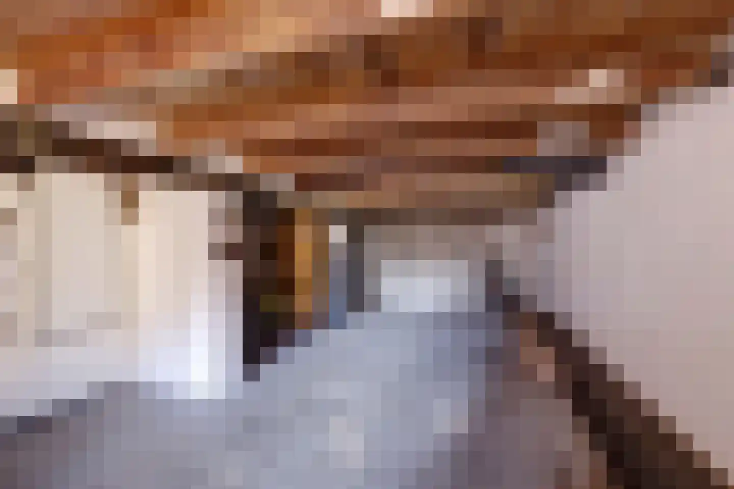 Onder de Boompjes 149 Gouda thumbnail 32