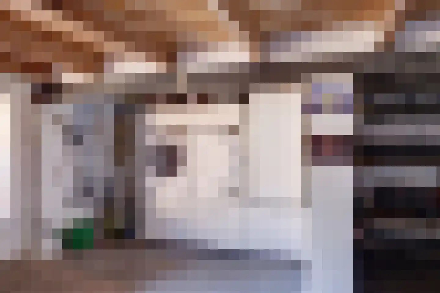 Onder de Boompjes 149 Gouda thumbnail 34